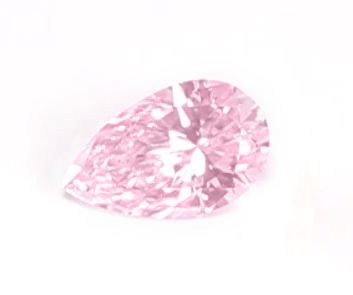 ARG396385_e_primary