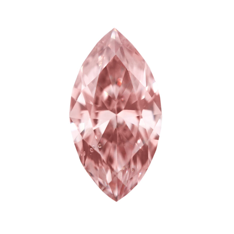 ARG382580_e_primary