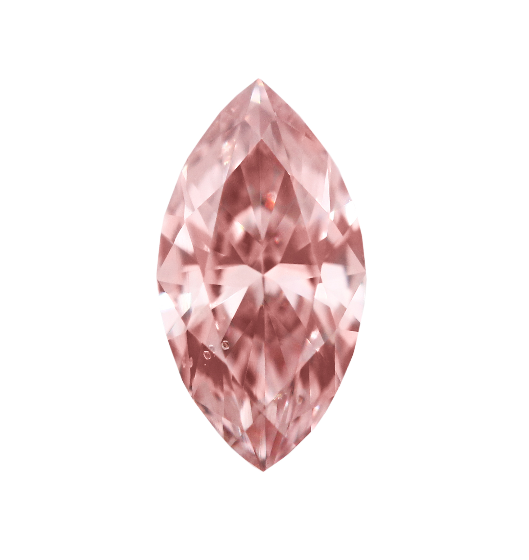 ARG382580_e_primary