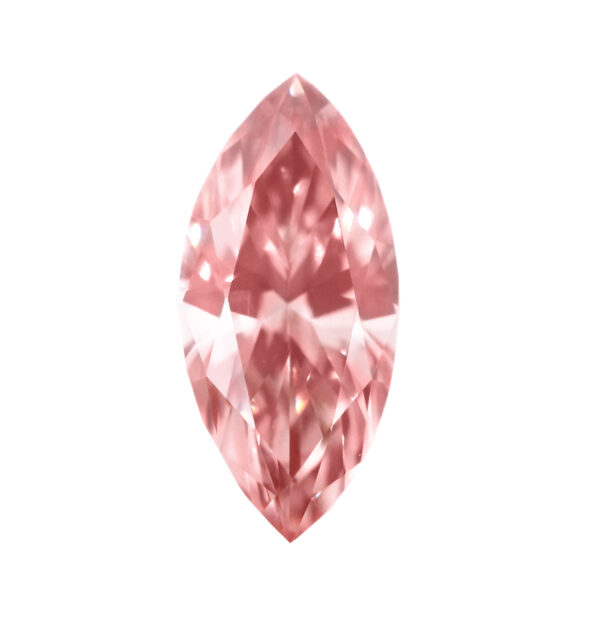 ARG382588_e_primary